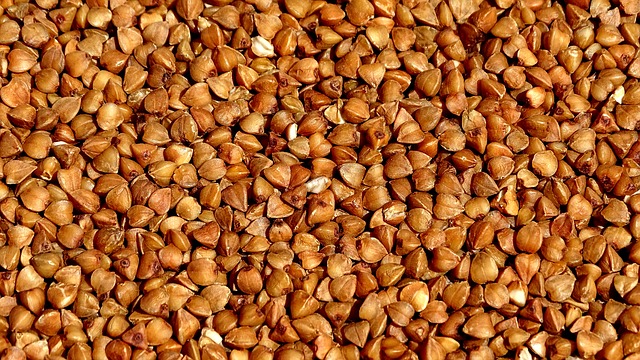 pohanka